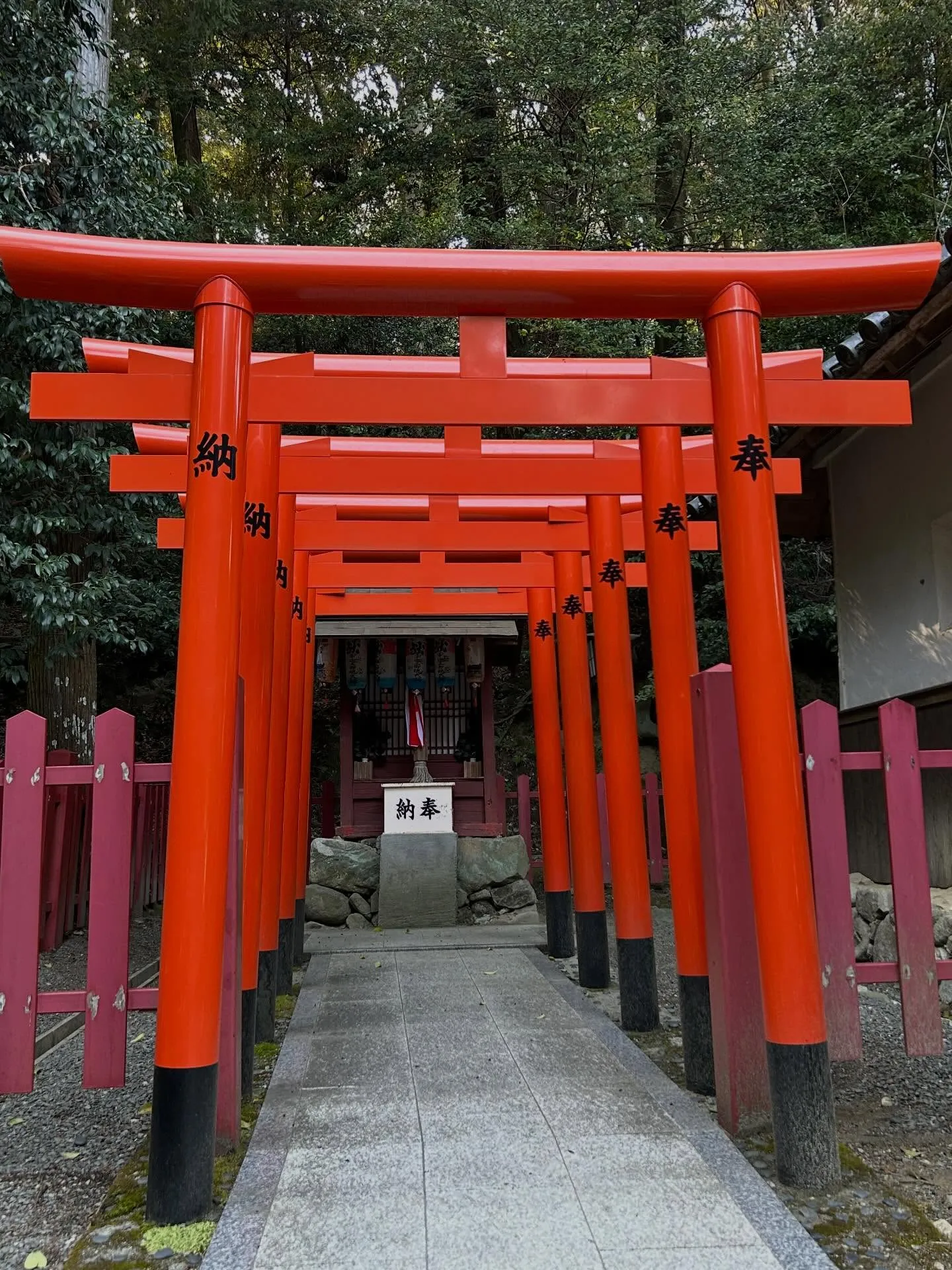 今日は河内長野まで出張でした！